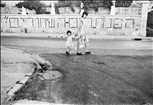 הפנתרים השחורים ברחוב הע"ח 16